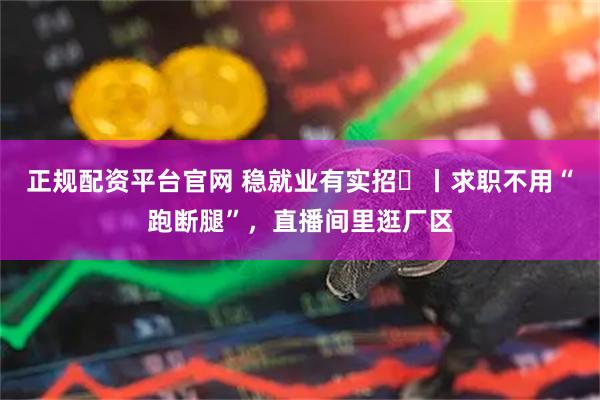 正规配资平台官网 稳就业有实招⑬丨求职不用“跑断腿”，直播间里逛厂区